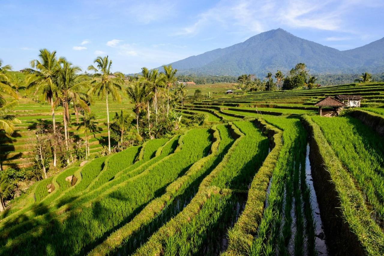 Kts - Kubu Tepi Sawah Villa Tabanan  Exterior photo